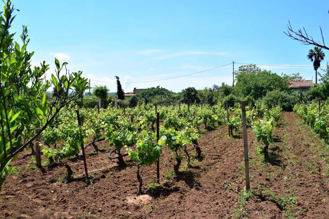 Appartamento Baccara Alghero